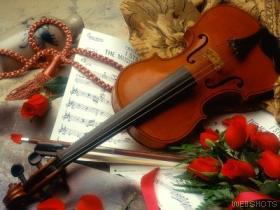 la musique avec des roses
